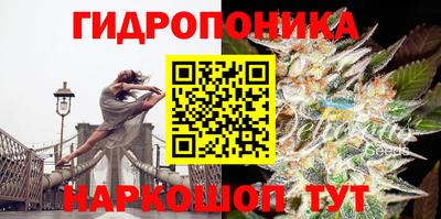 ГАЛЛЮЦИНОГЕННЫЕ ГРИБЫ Северобайкальск