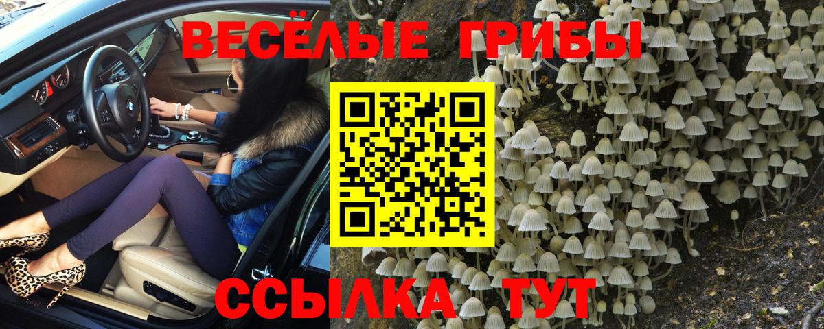 Свободный  Псилоцибиновые грибы мицелий  Вход с VPN 
